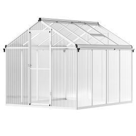 6 x 8ft Polycarbonate Greenhouse with Rain Gutters, Large Walk-In Green House with Door and Window, Garden Plants Grow House