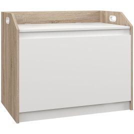 Scott Modern Storage Ottoman with Lift Top - White