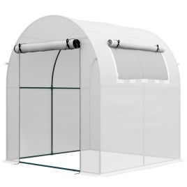 Walk in Polytunnel Greenhouse, Green House for Garden with Roll-up Window and Door, 1.8 x 1.8 x 2 m, White