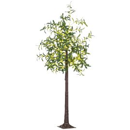Scott 6ft Olive Tree with 300 LED Indoor Party Decoration Lights - Green