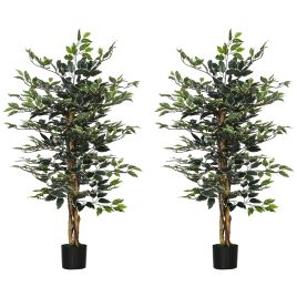 Artificial Ficus Trees - Tall - Set of 2