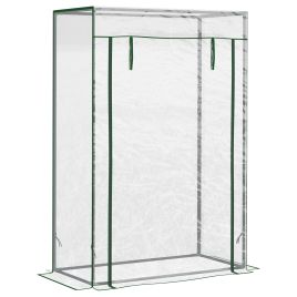 100 x 50 x 150cm Greenhouse Steel Frame PVC Cover with Roll-up Door Outdoor for Backyard, Balcony, Garden, Transparent