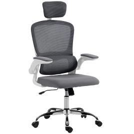 ENVONIS Ergonomic Mesh Back Office Chair with Lumbar Support - Charcoal Grey and White