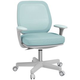HINCKLEY 44 to 56 cm Adjustable Mesh Back Office Chair - Light Green