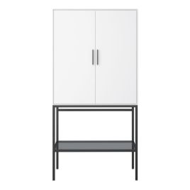 Tracey 2 Door Tall Cabinet in Pure White with Steel Black Legs