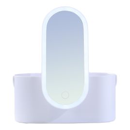 Portable Vanity Makeup Case for Travel with LED Light Mirror