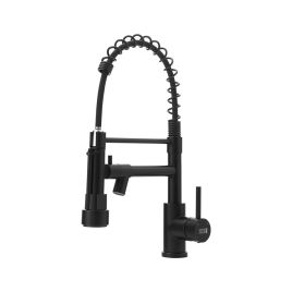 Black Stainless Steel Kitchen Faucet