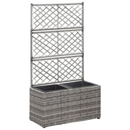 Trellis Raised Bed with 2 Pots 58x30x107 cm Poly Rattan Grey