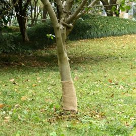 CRCOUR Jute Roll 0.25x25 m Jute 200 gsm