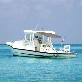 T-Top Shade Extension Anthracite Grey 170x170x(115-183) cm