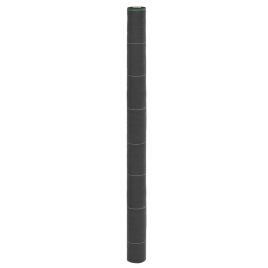 Weed Membrane Black 1.5x50 m PP - vid-4005223