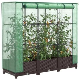 Raised Bed with Greenhouse Cover Rattan Look 120x40x123 cm - vid-4015797