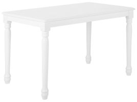 Wooden Dining Table 120 x 75 cm White CARY