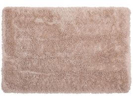 Shaggy Area Rug 200x300cm Beige