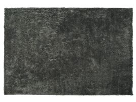 Shaggy Area Rug 200x300cm Dark Grey