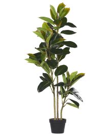 Artificial Potted Plant 134 cm FICUS ELASTICA