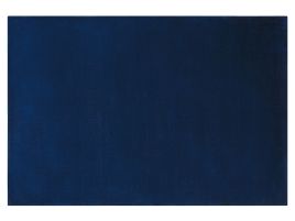 Viscose Area Rug 140x200cm Navy Blue