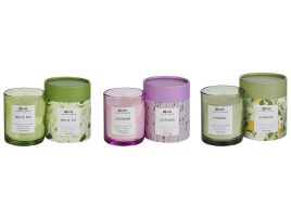3 Soy Wax Scented Candles White Tea / Lavender / Jasmine