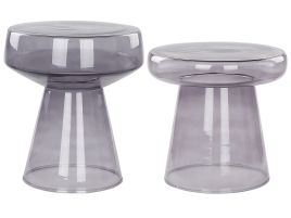 Set of 2 Glass Side Tables Grey LAGUNA/CALDERA
