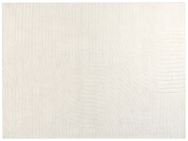 Wool Area Rug 300x400cm Beige