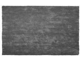 Shaggy Area Rug 200x300cm Dark Grey