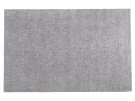 Shaggy Area Rug 200x300cm Light Grey