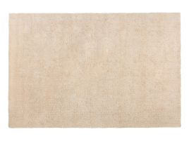 Shaggy Area Rug 200x300cm Sand Beige