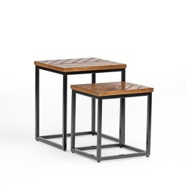 Kamala Black Metal Legs Frame Nest of 2 Table - Mango Wood