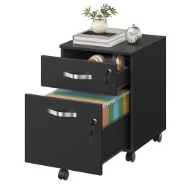 DAKOTY Lockable File Cabinet with 2 Drawers - Black