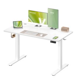 PAXTON Electric Standing Desk 120 x 60 cm with Reminder - Cloud White
