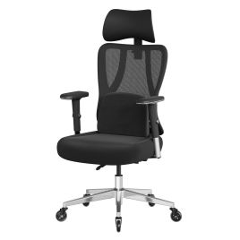 ORKYCY Office Gaming Chair with Lumbar Support - Black