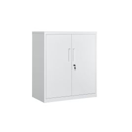 Office Cabinet - NOVNZA 2 Door Storage Cabinet with Shelves - White