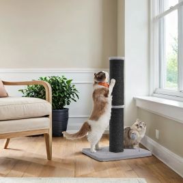 PEBUSA Cat Scratching Post with Spring Toy - Black