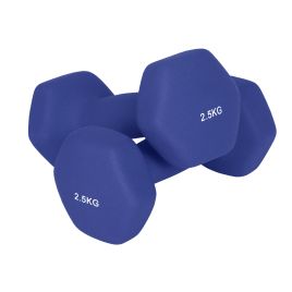 TASOTA Set of 2 Neoprene Dumbbells 2 x 2.5 kg - Harbor Blue