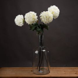 White Chrysanthemum - Large