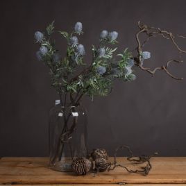 Eryngium Blue Thistle - Purple