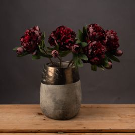 Peony Rose - Burgundy