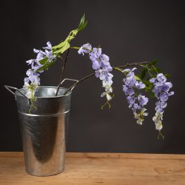 Single Spray Wisteria - Lilac