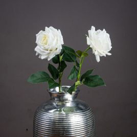 White Garden Rose - Large