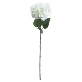Single Hydrangea - White