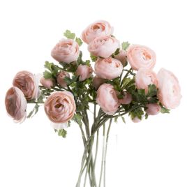 Pastel Ranunculus - Pink