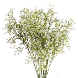 Gypsophila Spray - White