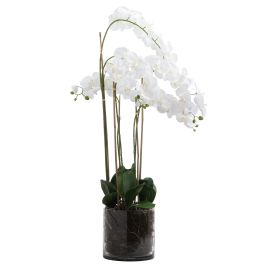 White Tall Orchid In Glass Pot - Large