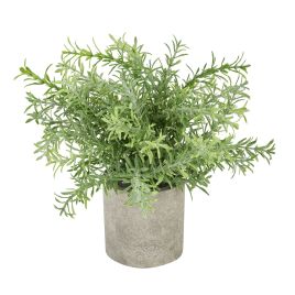 Stone Effect Pot Rosemary Plant - Green