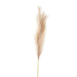 Bleached Faux Pampas Grass Stem - Large
