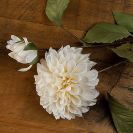 Dahlia Stem - White