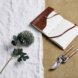 Pale Chrysanthemum - Green Blue