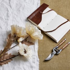 Large White Poppy Stem - White