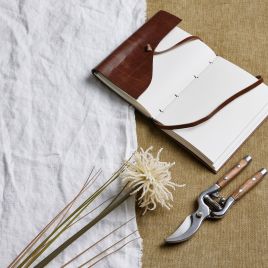 Aster Spider Chrysanthemum Stem - Cream