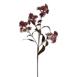 Burgo Smokebush Stem - Medium